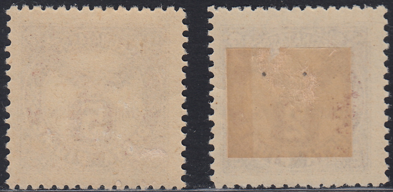 Fiume434 - Tax postmark depicting an eagle, series of two values ​​2c and 5c, new brown with original rubber (13/14)