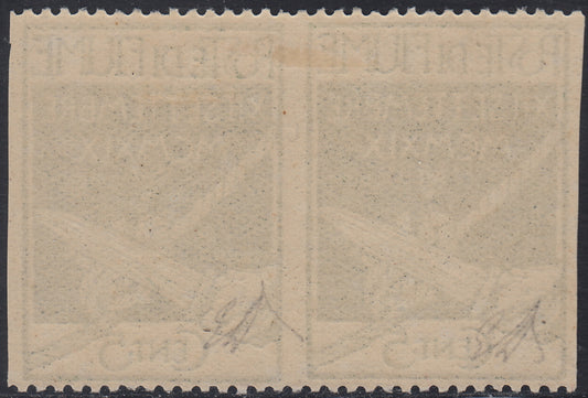 Fiume566 - 1920 - Legionaries of Fiume cc. 5 green horizontal pair not notched vertically new with original rubber (127e)