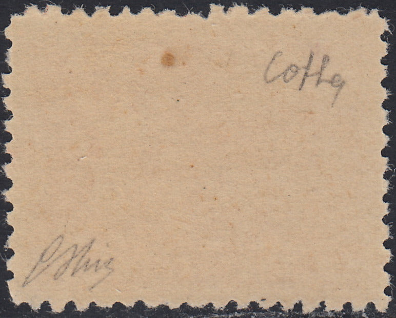 Fiume712 - 1919 - Allegorie, tassello "Posta Fiume", 1 corona bruno arancio dentellatura 10 1/2 nuovo con gomma integra (58/I)