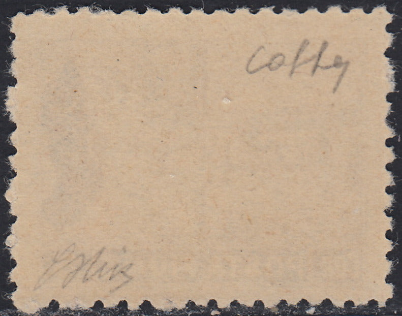 Fiume715 - 1919 - Allegorie, tassello "Posta Fiume", 5 corone bruno dentellatura 10 1/2 nuovo con gomma integra (61/I)