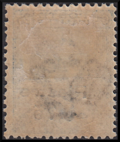 LEVCOST25 - 1922 - 6a emissione locale, Michetti c. 25 azzurro soprastampato "Piastre 3,75" nuovo con gomma (46)
