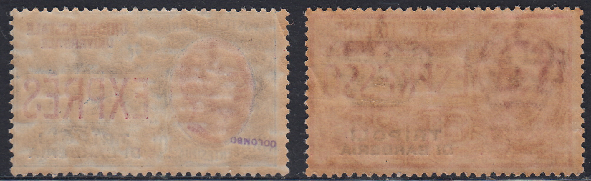 LevTripoli8 - 1909/15 - I due espressi soprastampati TRIPOLI DI BARBERIA nuovi con gomma originale (1/2).