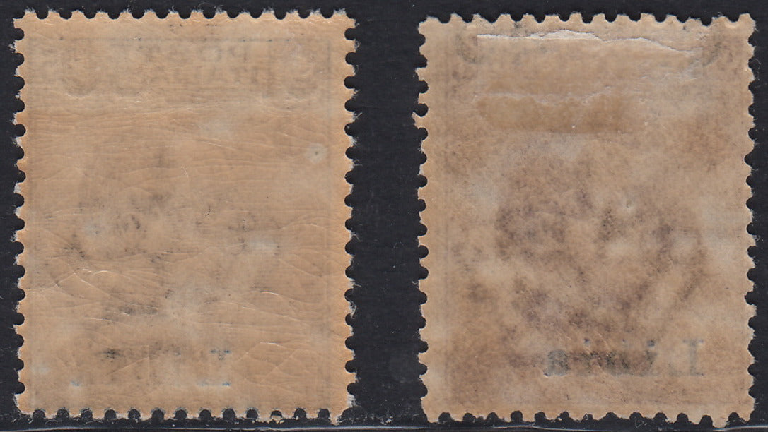 Libia31 - 1922 - Francobolli ordinari soprastampati con nuovo valore, serie di 2 esemplari, nuovi con gomma originale (38/39).