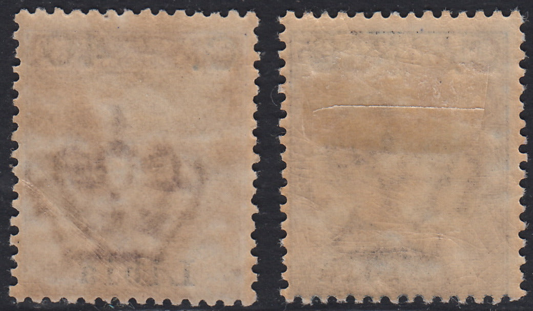Libia32 - 1922 - Francobolli ordinari soprastampati con nuovo valore, serie di 2 esemplari, nuovi con gomma originale (38/39).