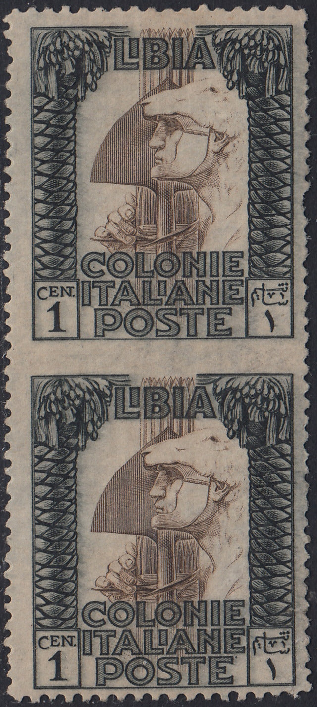 LIbia44 - 1921 - Pittorica di Libia c. 1 bruno e nero dent. 13 3/4 x 14 con varietà coppia verticale non dentellata al centro nuova gomma integra (21l)