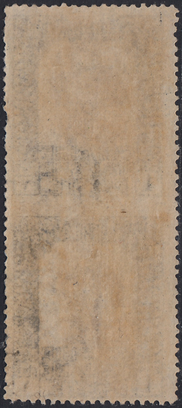 LIbia44 - 1921 - Pittorica di Libia c. 1 bruno e nero dent. 13 3/4 x 14 con varietà coppia verticale non dentellata al centro nuova gomma integra (21l)
