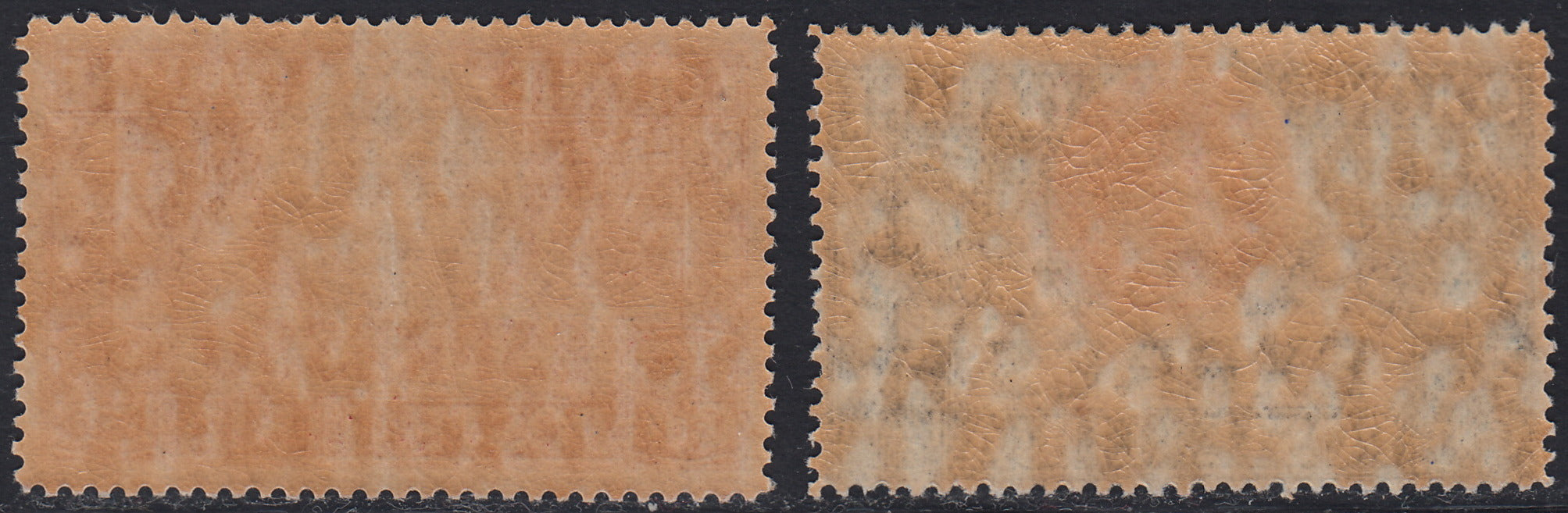 Libia6 - 1921 - Espressi di Libia 30c. azzurro e 50c. rosso nuovi con gomma integra  (3, 4)