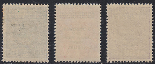 Lub70 - 1941 - Occupazione Italiana della Lubiana, Segnatasse con soprastampa modificata serie di 3 valori completa nuova integra (11/13)