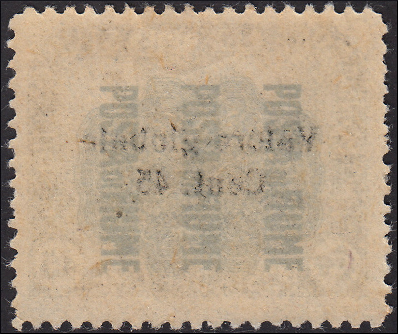 MMOCC_128 - 1920 - Valore Globale III serie, 45c.oliva soprastampa in grassetto piccolo nuovo gomma integra (112)