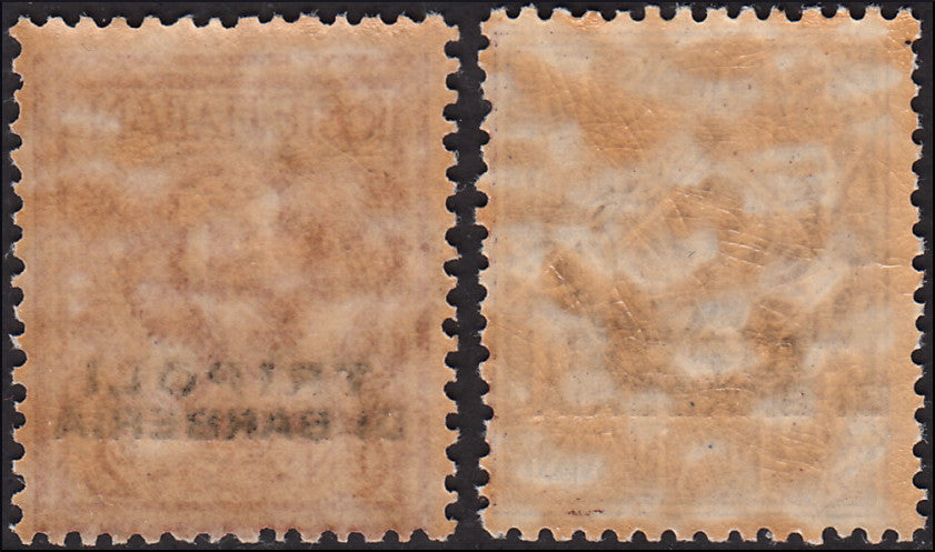 MMOCC_12 - 1915 - Floreale c. 1 bruno e c. 2 rosso bruno soprastampati Tripoli di Barberia nuovi gomma integra (11/12)