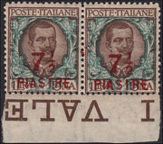 MMOCC_228 - 1922 - 8a emissione locale, Floreale 7 1/2 piastre su L. 1 coppia orizzontale con varietà "PIASIRE" nuova gomma integra (64 + 64c)