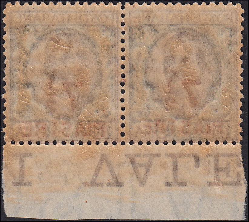 MMOCC_228 - 1922 - 8a emissione locale, Floreale 7 1/2 piastre su L. 1 coppia orizzontale con varietà "PIASIRE" nuova gomma integra (64 + 64c)