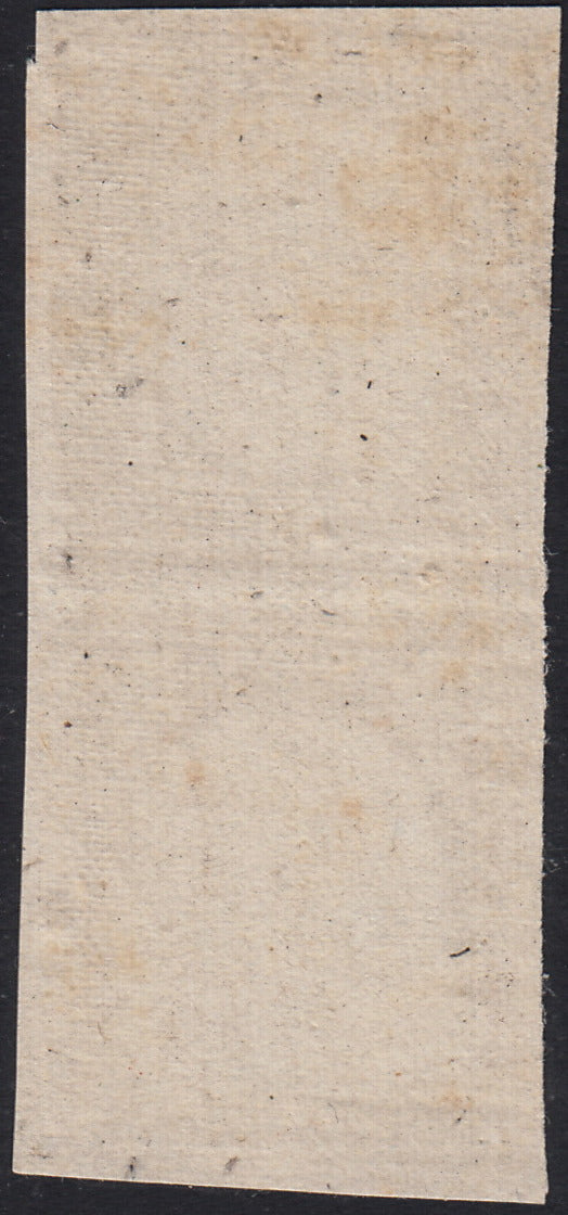 ND69 - 1862 - IV emissione c. 80 giallo limone coppia verticale, prova di colore su carta di medio spessore non gommata (17Da, gradazione)