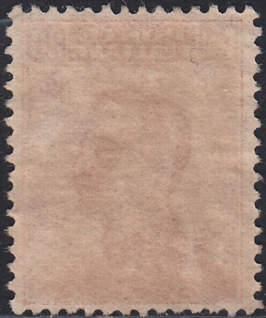 ND8 - 1907 - Michetti, c. 20 arancio senza filigrana nuovo con gomma originale e traccia di linguella, ottima centratura (107).