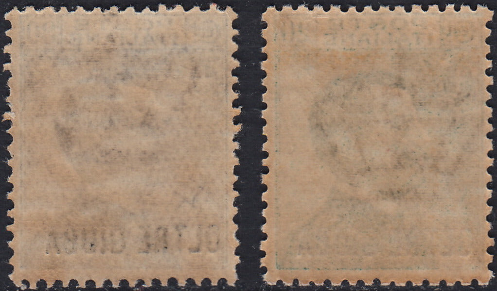 OG12 - 1925 - Oltre Giuba ordinary series, 2 stamps with overprint in stick font "OLTRE GIUBA", new, intact rubber (16/17) 