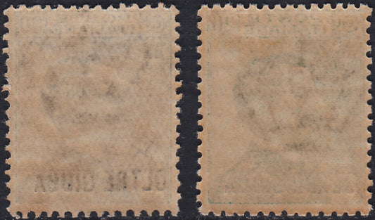 OG12 - 1925 - Oltre Giuba serie ordinaria, 2 valori con soprastampa in carattere bastoncino "OLTRE GIUBA" nuovi gomma integra (16/17)