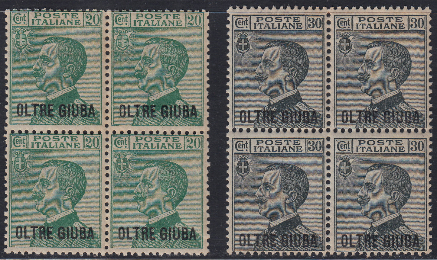 OG14- 1925 - Oltre Giuba ordinary series, 2 stamps with overprint in stick character "OLTRE GIUBA" in new blocks of uncut rubber (16/17) 