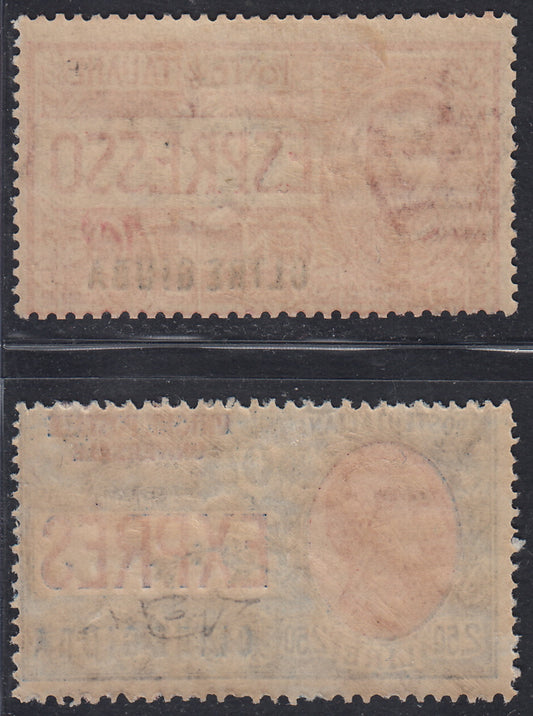 OG34 - 1926 - Espressi di Regno soprastampati "OLTRE GIUBA" serie dei due valori nuova gomma originale (E1, 2)