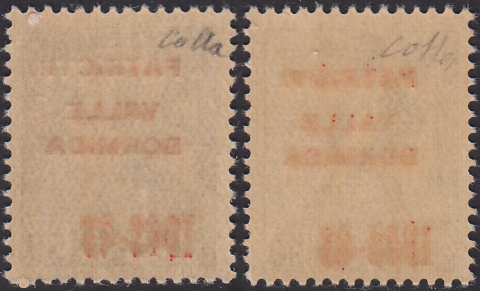 PP339 - 1945 - Monumenti distrutti, c. 30 bruno e c. 50 violetto con soprastampa "CLN / PATRIOTI / VALLE / BORMIDA / 1943-45" in vermiglio, nuovi con gomma integra.(4A, 5A)