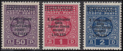 PPP580 - 1941 - Occupazione Italiana della Lubiana, Segnatasse soprastampate in caratteri più piccoli, serie di 3 valori nuova con gomma integra (11/13)