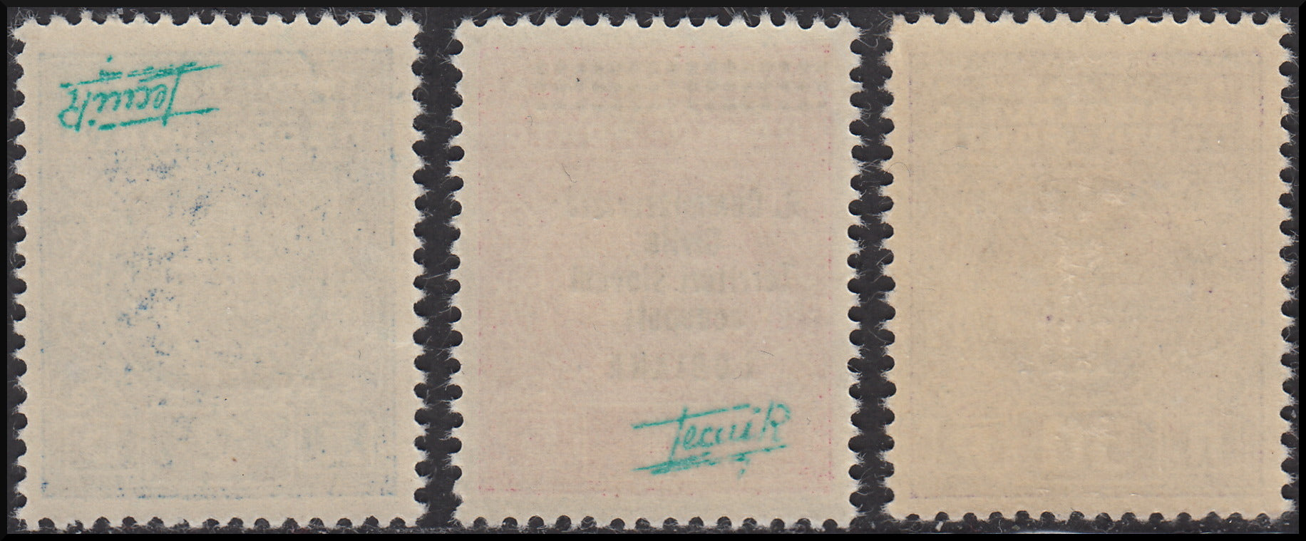 PPP580 - 1941 - Occupazione Italiana della Lubiana, Segnatasse soprastampate in caratteri più piccoli, serie di 3 valori nuova con gomma integra (11/13)