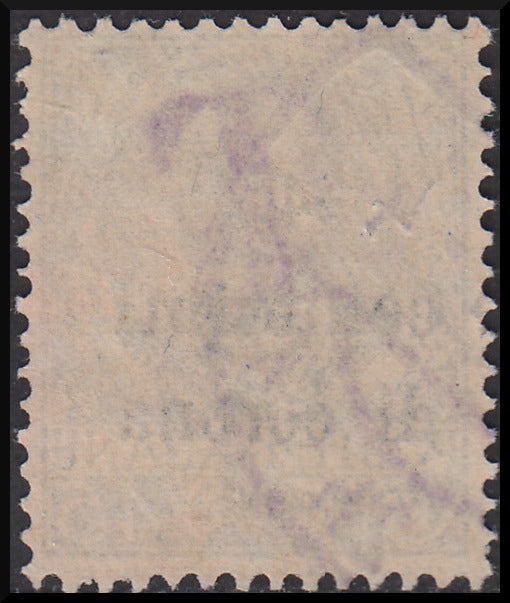 PPP614 - 1918 - Trentino Alto Adige, Bolzano office 1, temporary tax postmarks overprinted in crown cents and "T" in black, 45 c. used olive (BZ1/17)