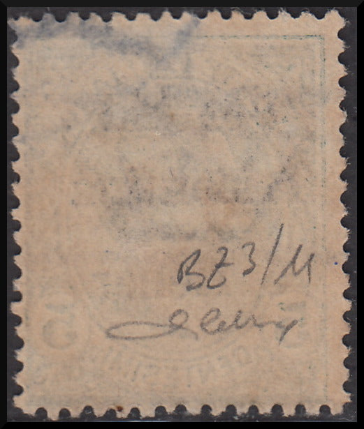 PPP618 - 1918/19 - Trentino Alto Adige, ufficio di Bolzano 3, Leoni 5c. verde sopastampato "T 5" tra due righe orizzontali usato (BZ3/11)