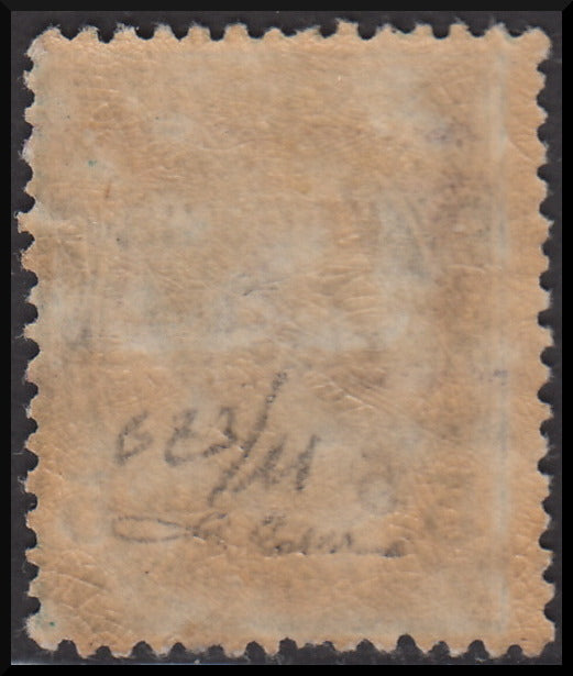 PPP619 - 1918/19 - Trentino Alto Adige, ufficio di Bolzano 3, Leoni 5c. verde sopastampato "T 5" tra due righe orizzontali nuovo con gomma originale (BZ3/11)