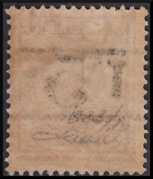 PPP621 - 1918/19 - Trentino Alto Adige, ufficio di Bolzano 3, FLoreale 2c. rosso bruno sopastampato "T 5" tra due righe orizzontali usato (BZ3/10)