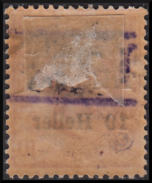 PPP623 - 1918/19 - Trentino Alto Adige, ufficio di Bolzano 3, Leoni 10c. rosa sopastampato "T 10" tra due righe orizzontali usato (BZ3/12)
