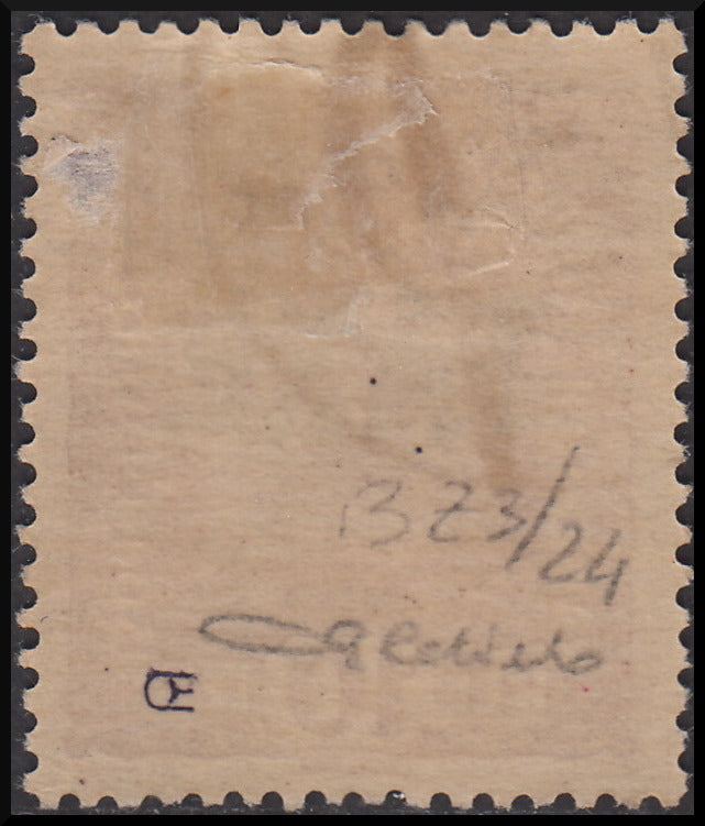 1918 - Trentino Alto Adige, ufficio di Bolzano 3, francobollo d'Austria da 10 heller lacca con soprastampa orizzontale TAXE orizzontale in nero senza cifra, nuovo (BZ3/24)