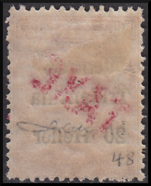 PPP636 - 1918 - Trentino Alto Adige, ufficio di Bolzano 3, segnatasse provvisorio soprastampa Venezia Tridentina 20 heller su c. 20 arancio e TAXE diagonale dal basso verso l'alto in colore rosso, nuovo9