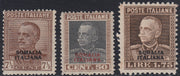 Lotto 431 - 1928 - tipo Parmeggiani, tre valori soprastampati "SOMALIA ITALIANA" nuovi gomma integra (116/118)