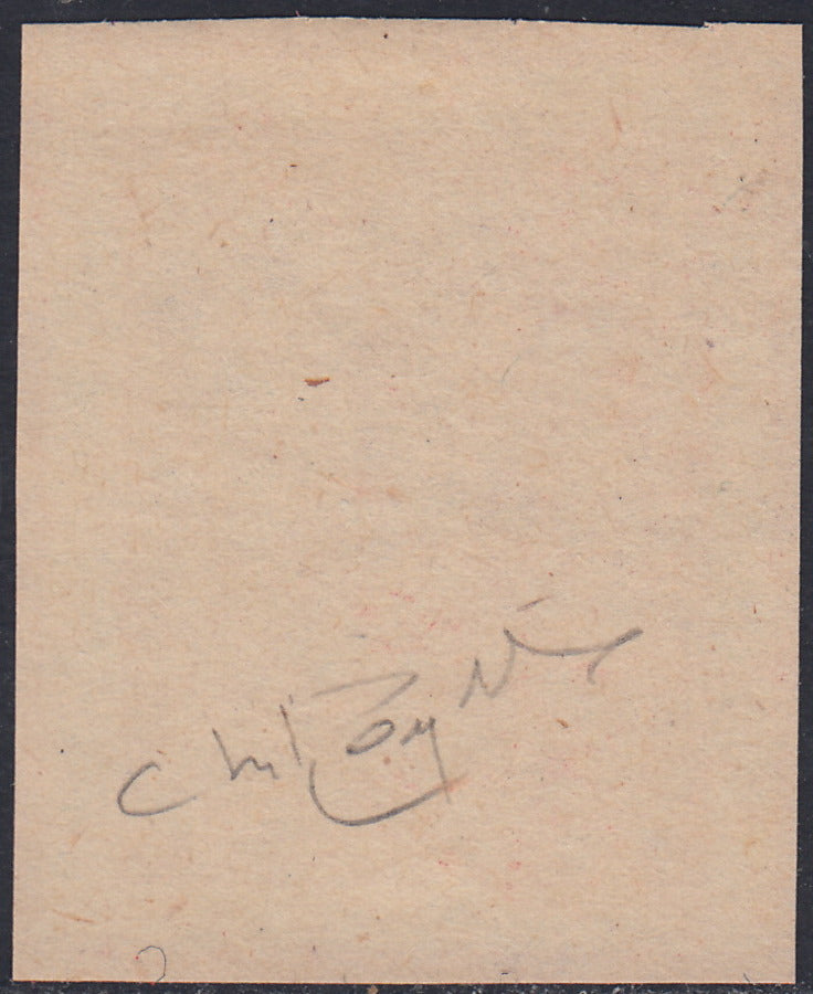 REP28 - 1910 - Plebiscito nell'Italia Meridionale, Garibaldi c. 15 + 15 carminio falso Percivalle fotolitografico nuovo non gommato, splendido!