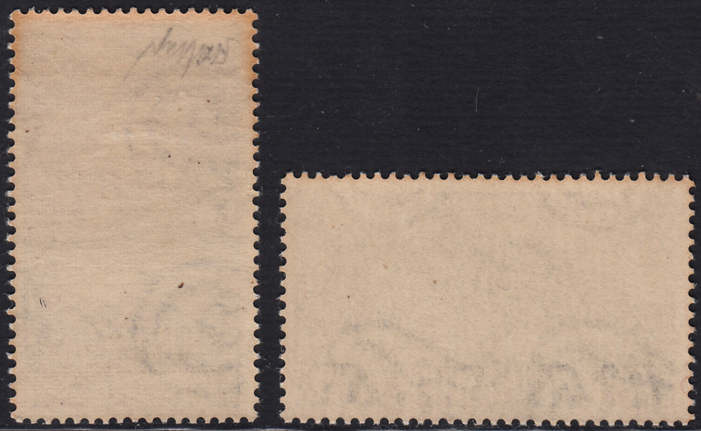 REP159 - 1950 - UNESCO, serie completa di 2 valori nuovi gomma integra (618, 219)