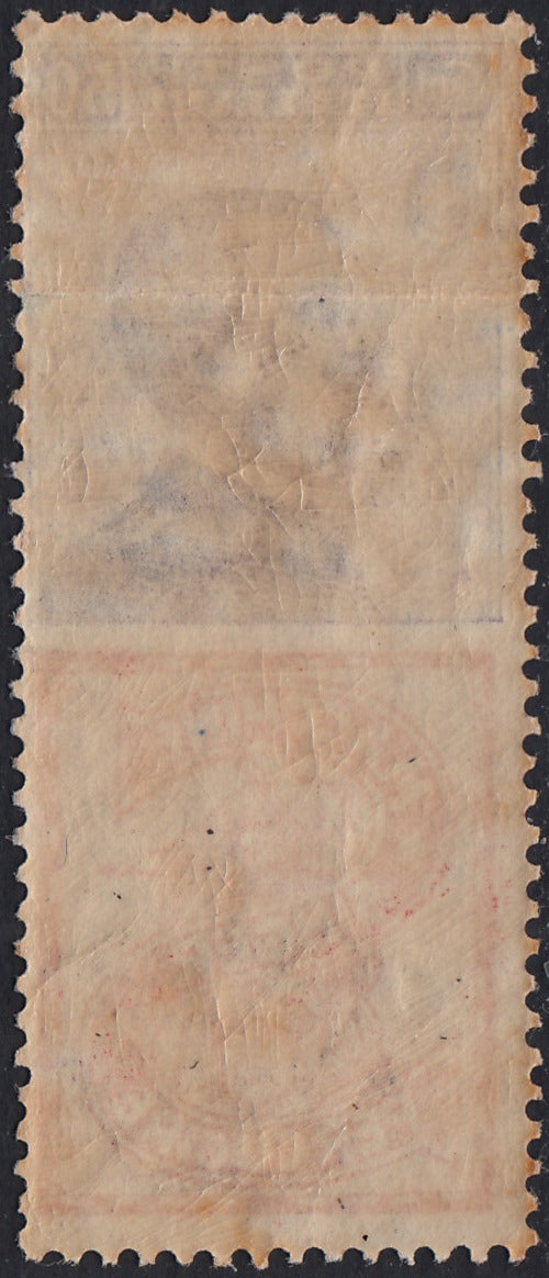 Reino de Italia, cuestiones publicitarias, c. 25 "Piperno" celeste y marrón nuevos con goma intacta (6)