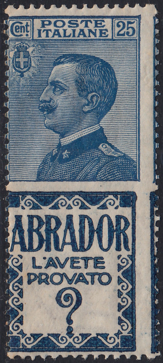Reino de Italia, cuestiones publicitarias, c. 25 "Piperno" celeste y marrón nuevos con goma intacta (6)
