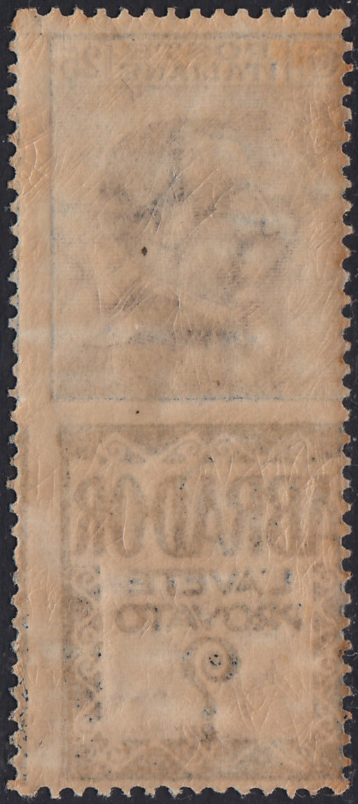 Reino de Italia, cuestiones publicitarias, c. 25 "Piperno" celeste y marrón nuevos con goma intacta (6)