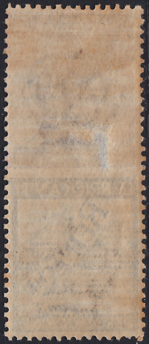 Reino de Italia, cuestiones publicitarias, c. 25 "Piperno" celeste y marrón nuevos con goma intacta (6)