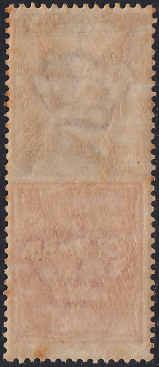 Reino de Italia, cuestiones publicitarias, c. 25 "Piperno" celeste y marrón nuevos con goma intacta (6)