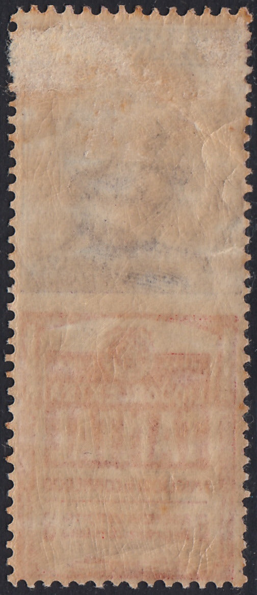 Reino de Italia, cuestiones publicitarias, c. 25 "Piperno" celeste y marrón nuevos con goma intacta (6)