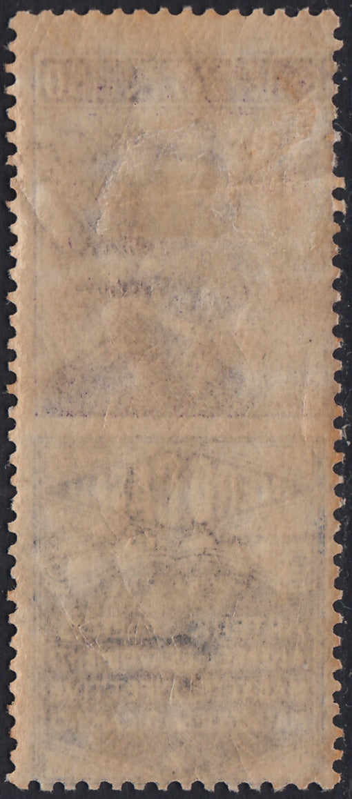 Reino de Italia, cuestiones publicitarias, c. 25 "Piperno" celeste y marrón nuevos con goma intacta (6)