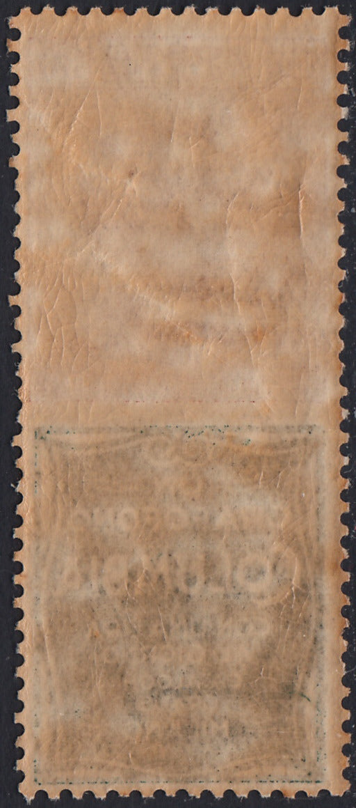 RM10_120 - 1924/25 - Regno d'Italia, emissione con appendici pubblicitarie, c. 30 bruno arancio e verde "Columbia" nuovo con gomma integra (9)