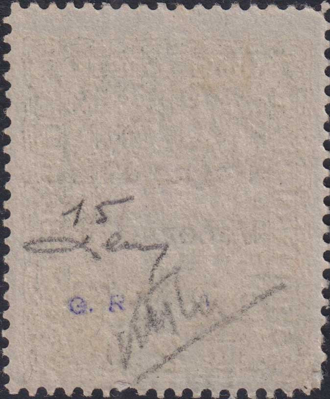 RM10_149 - 1918 - Francobollo d'Austria 2 Korone azzurro con soprastampa "Regno d'Italia / Venezia Giulia / 3.XI.18." nuovo con gomma originale (15)