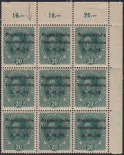 RM10_152 - 1918 - Francobollo d'Austria 20 heller verde scuro blocco di nove esemplari con soprastampa "Venezia Giulia" nuovo con gomma integra (7 + 7l)