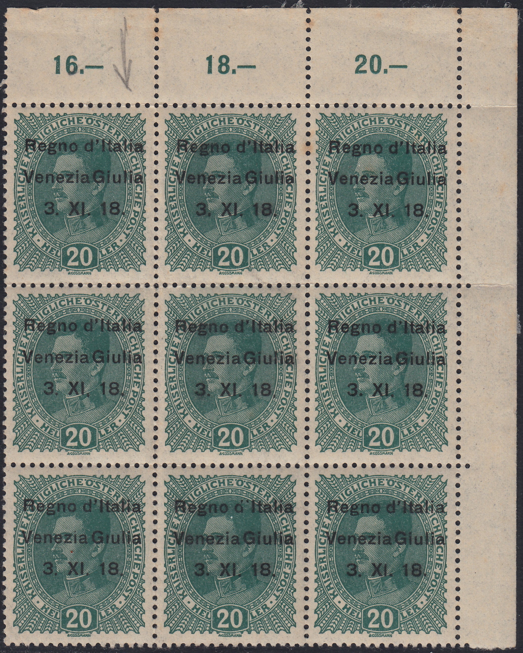 RM10_152 - 1918 - Francobollo d'Austria 20 heller verde scuro blocco di nove esemplari con soprastampa "Venezia Giulia" nuovo con gomma integra (7 + 7l)