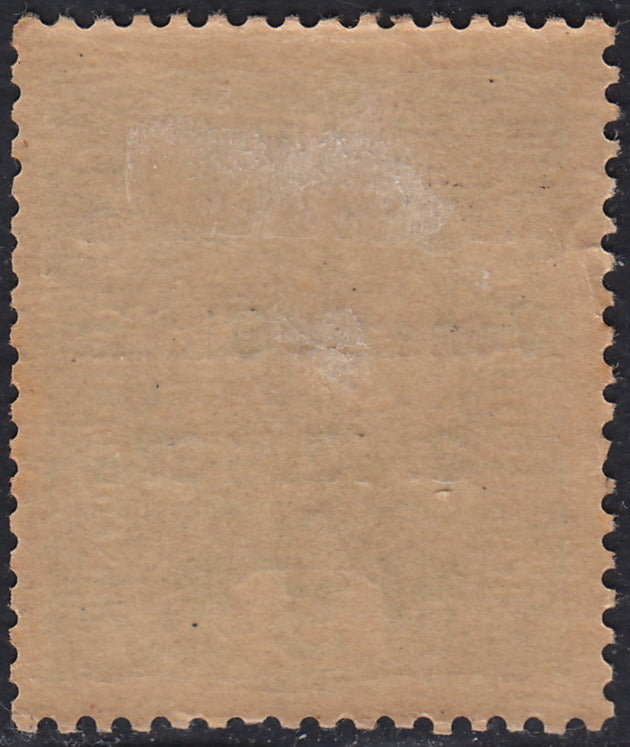 RM10_153 - 1918 - Francobollo d'Austria 5 heller verde giallo soprastampato "Venezia Giulia" nuovo con gomma originale (2)