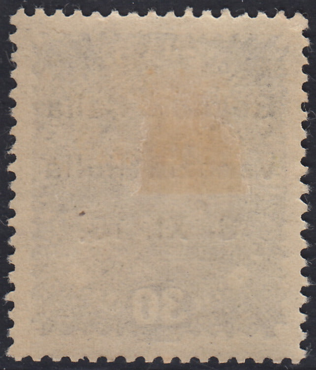 RM10_156 - 1918 - Francobollo d'Austria 30 heller violetto grigio con soprastampa "Venezia Giulia" nuovo con gomma originale (9)