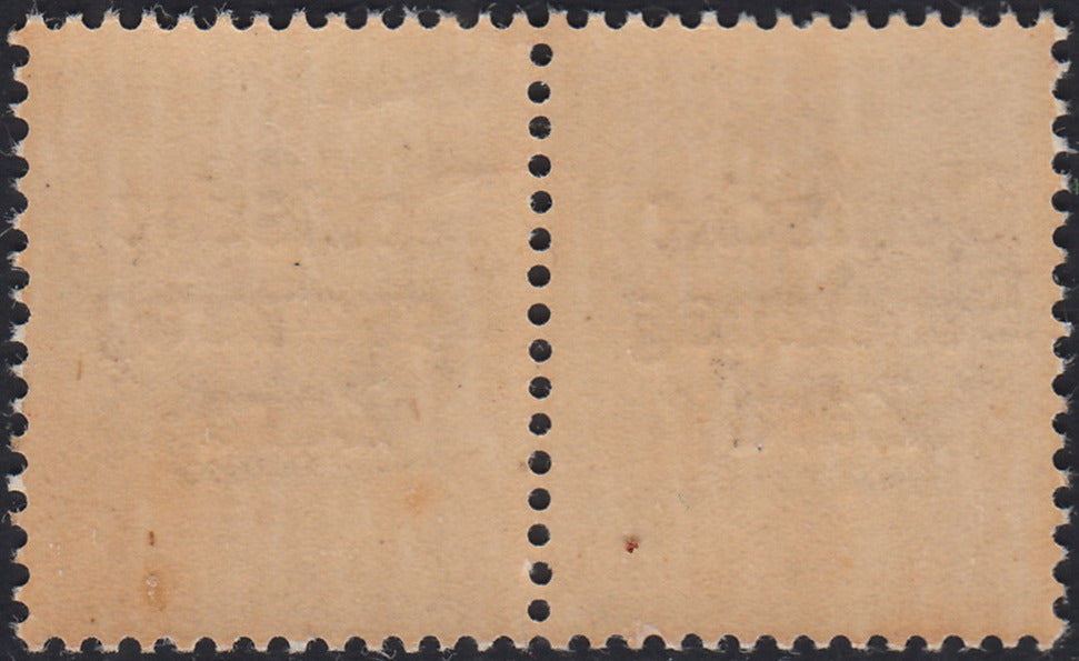 RM10_15 - 1943 - Occupazione tedesca di Zara, Segnatasse c. 40 bruno grigio soprastampato "Deutsche BesetzuAg Zara" in coppia con esemplare normale nuovo con gomma integra (6+6a)