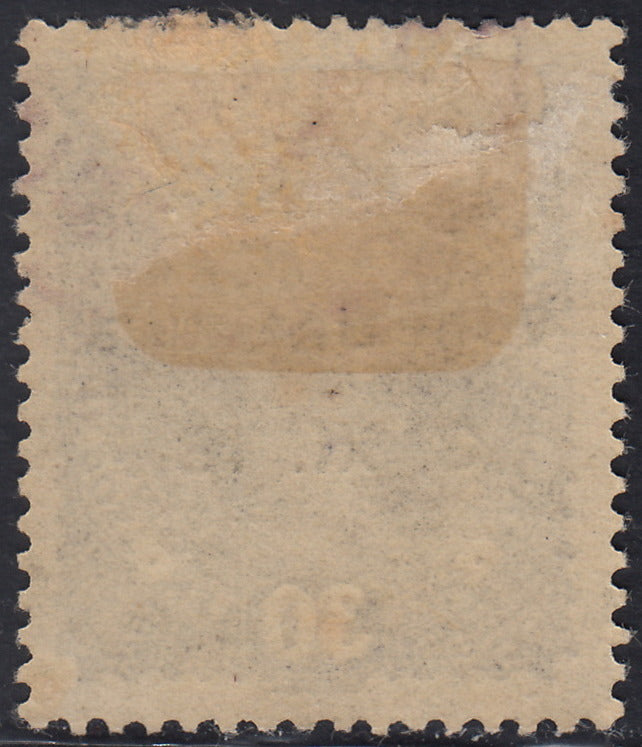 RM10_164 - 1918 - Francobolli d'Austria con soprastampa "Venezia Giulia" 30 heller violetto grigio usato (9)